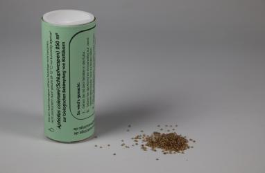 Aphidius colemani 500 Stck. 