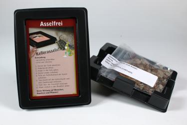 Asselfrei Kellerasselfalle 