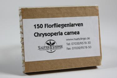 Florfliegenlarven gegen Blattläuse u.a. 150 Stück 
