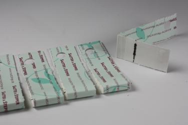 Schlupfwespen gegen Weiße Fliege 200 Stück 