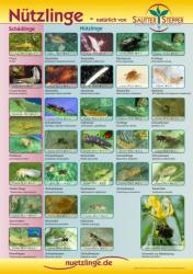 Poster zum Nützlingseinsatz 