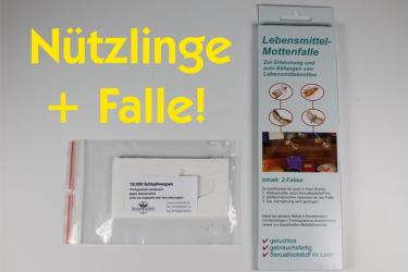 Trichogr. g.Speisemotten 3 Lief.je 4 Kärtchen plus Fallen 