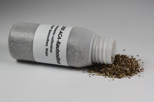 Amblyseius californicus 500 Stück 