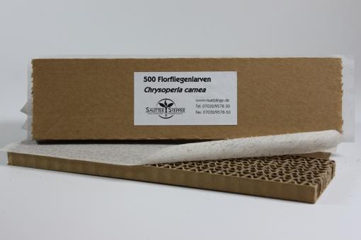 Florfliegenlarven gegen Blattläuse u.a. 500 Stück 