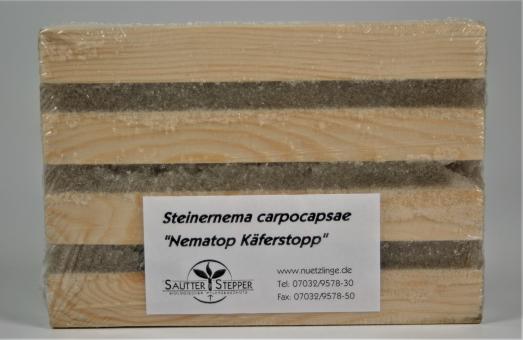 Käferfalle für Dickmaulrüssler - Nematop Käferstopp 