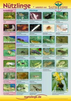 Poster zum Nützlingseinsatz 