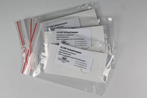 Trichogramma evan. g.Textilmotten 6 Lief. je 12 Kärtchen 