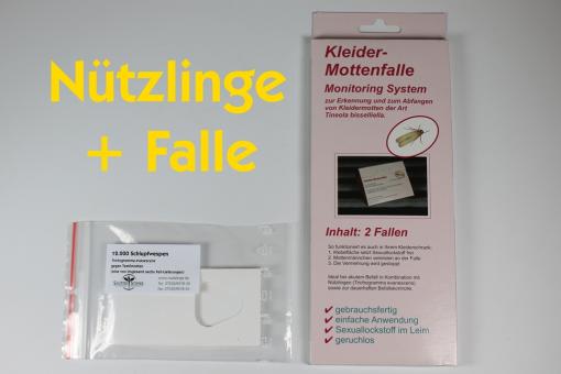 Trichogr. g.Textilmotten 6 Lief. je 4 Kärtchen + 2Fallen 