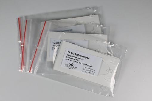 Trichogr. g.Speisemotten 3 Lief.je 12 Kärtchen 