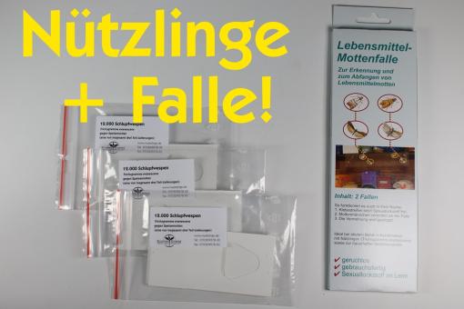 Trichogr. g.Speisemotten 3 Lief.je 12 Kärtchen+Fallen 