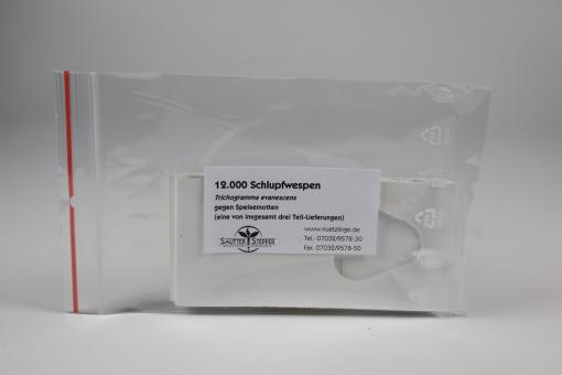Trichogramma evan. g.Speisemotten 3 Lief.je 4 Kärtchen 