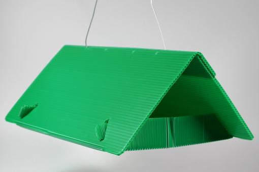 Buchsbaumzünsler Pheromon-Falle 