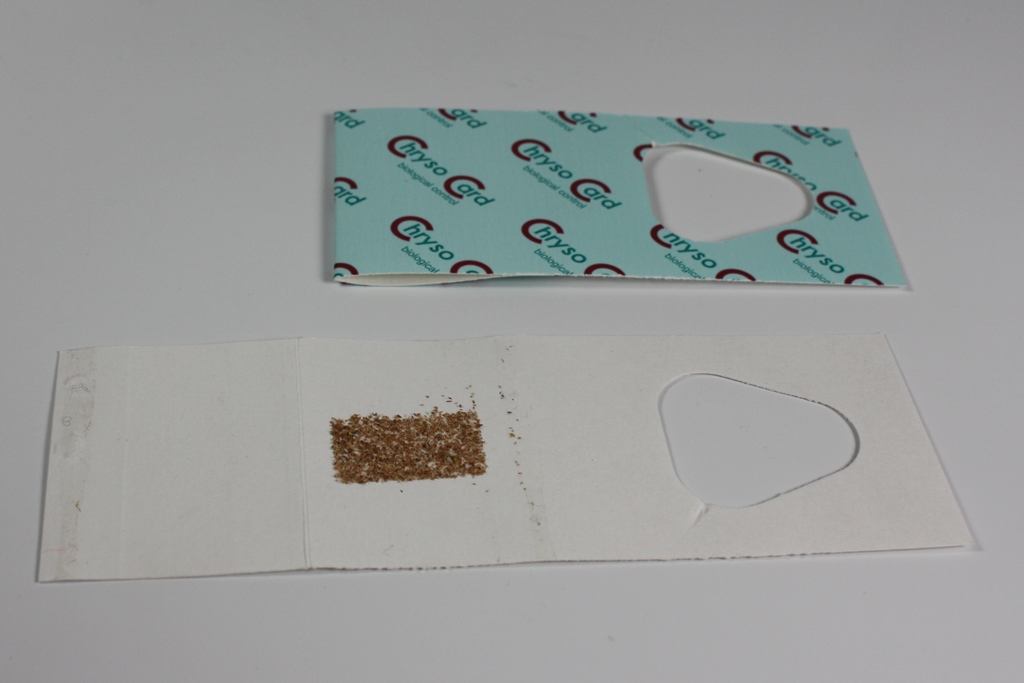 ChrysoCard  8 Karten 