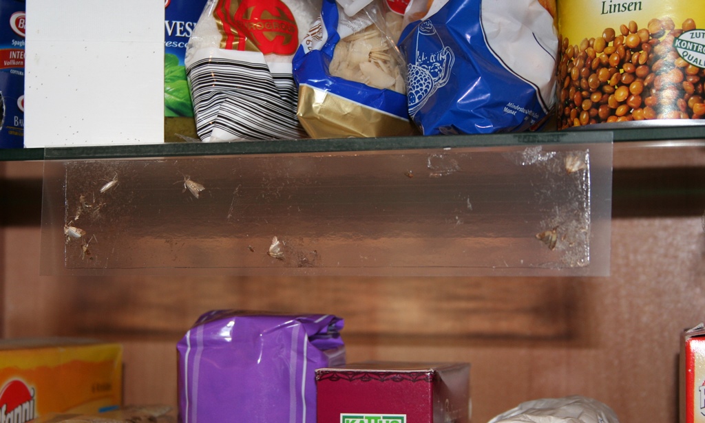 Lebensmittel Mottenfalle 6 Pckg.mit je 2 Fallen 