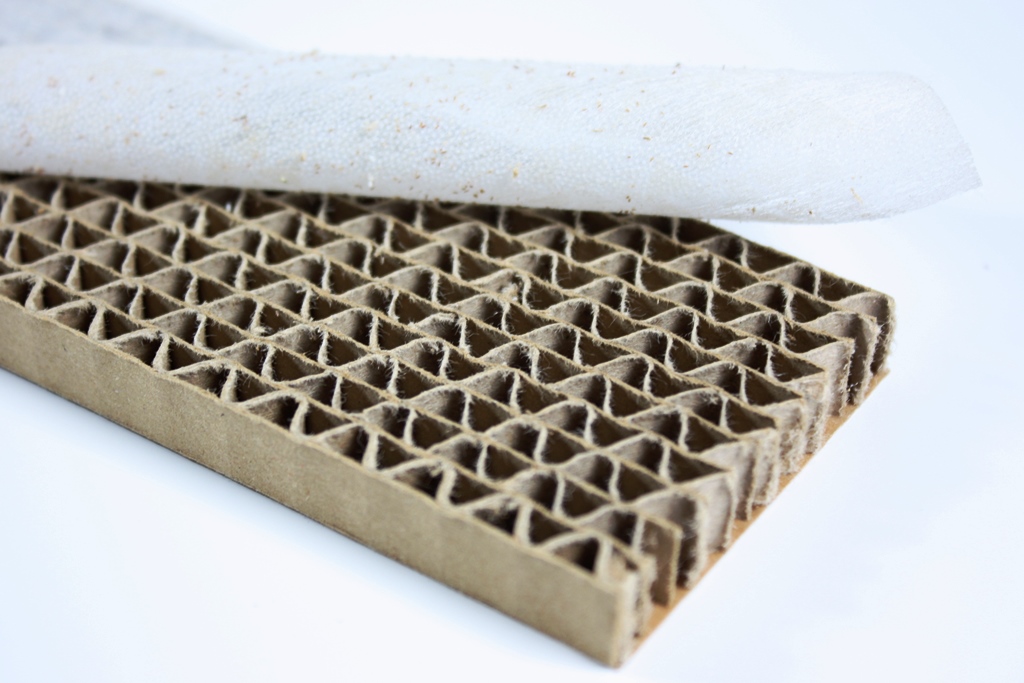 Florfliegenlarven gegen Blattläuse u.a. 150 Stück 