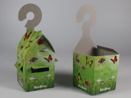 Australische Marienkäfer 25 Stück (Cryptolaemus) 