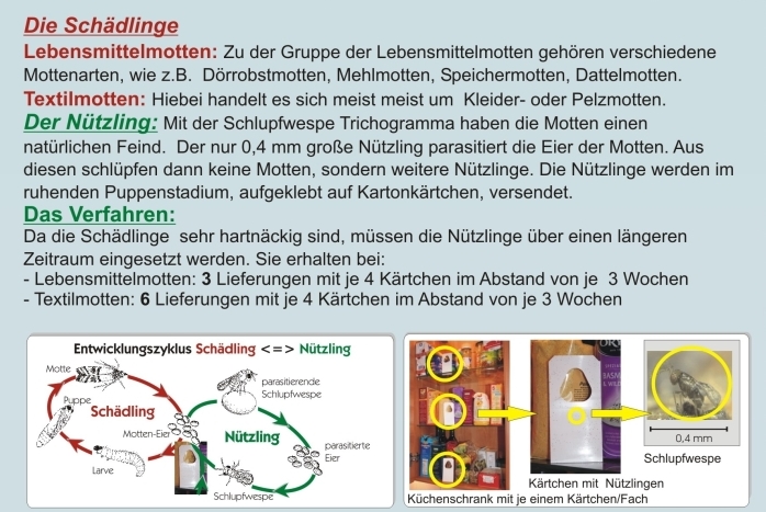 Gutscheinkarten Mottenbekämpfung 
